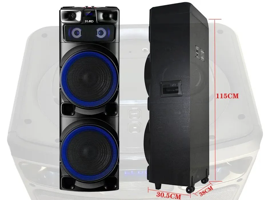 Temeisheng Wooden Super Power Dual 12 Inch Tweeter 100W RMS Large Audio Box Rechargeable Wireless Portable Speaker Bluetooth