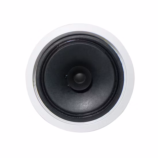 Altavoces PA de 8 ohmios de audio profesional de alta calidad para rango medio de 6 pulgadas