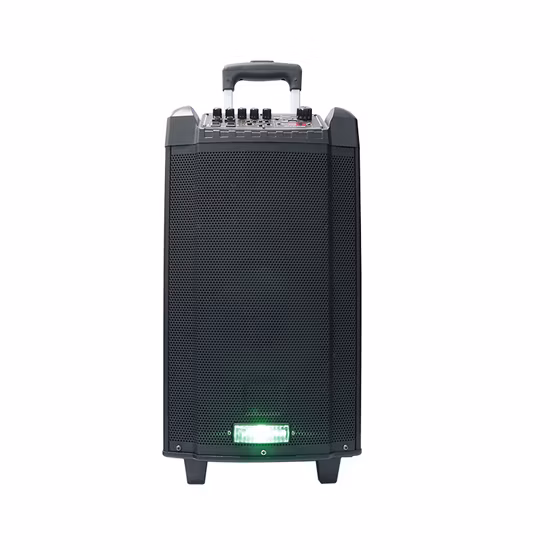 Temeisheng fabricante 10 pulgadas Subwoofer de gran potencia HiFi portátil inalámbrico Bluetooth Bt PA al aire libre DJ bajo fiesta altavoz Tms-1001A