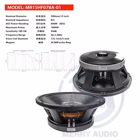 Alta potencia 10*2 pulgadas inalámbrico LED Light Party DJ Stage Mic Multimedia Karaoke Subwoofer Woofer