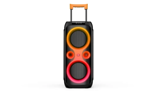 2022 Altavoz privado Alta potencia PA Audio Dual 10 pulgadas Inalámbrico Bluetooth DJ Disco Karaoke Woofer Altavoces de fiesta con amplificador incorporado Caixa De Son De 100W